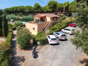 Matteo's Apartments Guardistallo